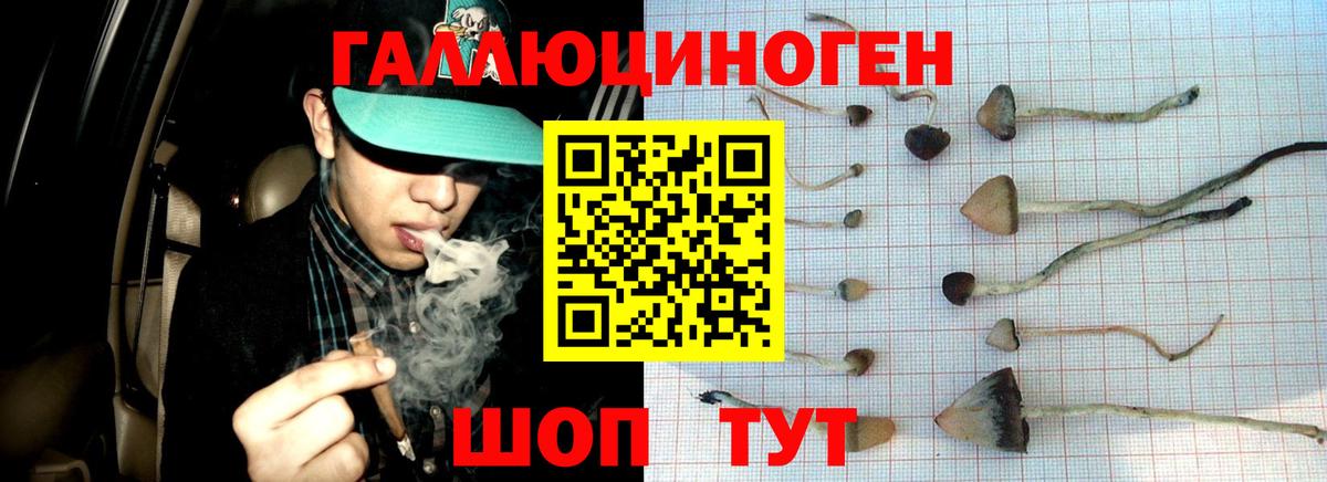 Галлюциногенные грибы мицелий Коммунар