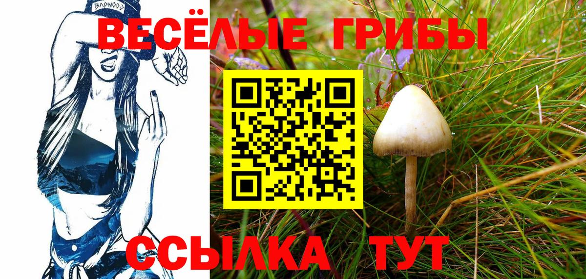 Галлюциногенные грибы мицелий  Вход с VPN  Коммунар 