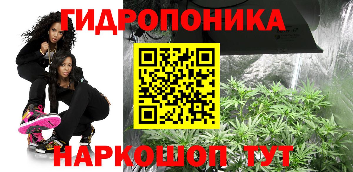 Коммунар  Каннабис Ganja  Вход с VPN  Канабис OG Kush  Каннабис Bruce Banner 